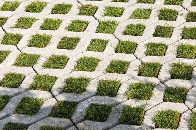 Zatrávňovačka – náhľad 2